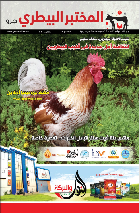 Edition 1