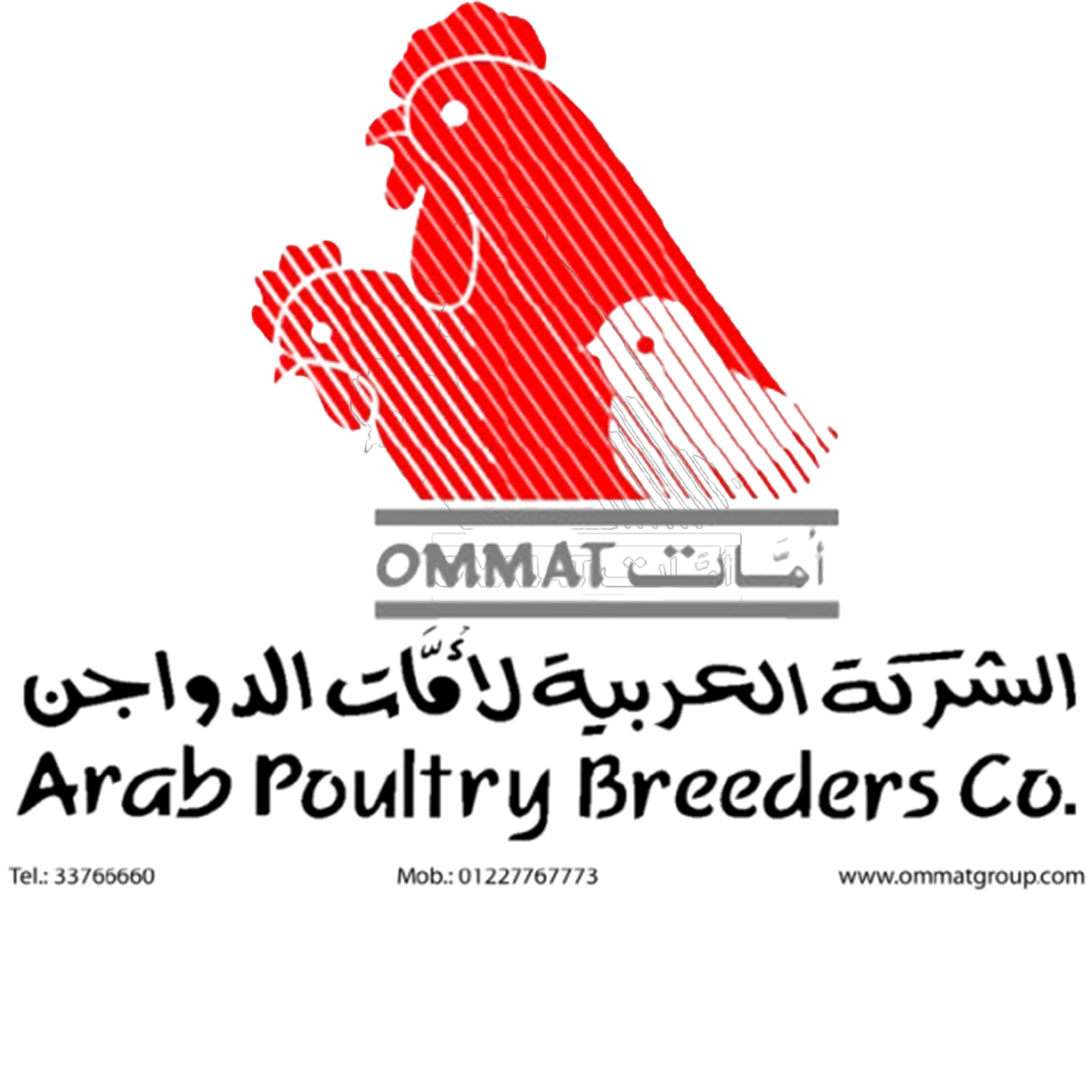 أكاديمية بوصلة